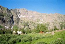 USA-Colorado-Sangre de Cristo Lodge Ride